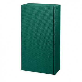  Präsent-Flaschenkarton für Postversand; für 2 Flaschen oder 1000g-Stollen; uni - auch innen farbig; dunkelgrün + innen dunkelgrün 