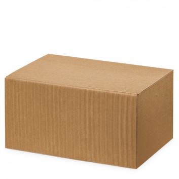  Präsent-Flaschenkarton für Postversand; für 6 Flaschen; uni - auch innen farbig; natur + innen natur; offene Welle - modern 