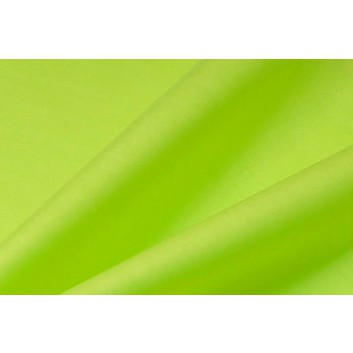  Blumenseide, nassfest; 50 cm x ca. 350 m; uni; hellgrün (pistazie); A10; hochnaßfest, hochreißfest; ca. 33 g/qm; Seidenpapier, glatt, durchgefärbt 