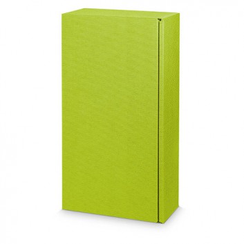  Präsent-Flaschenkarton für Postversand; für 2 Flaschen oder 1000g-Stollen; uni - auch innen farbig; hellgrün + innen hellgrün 