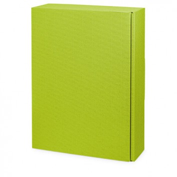  Präsent-Flaschenkarton für Postversand; für 3 Flaschen; uni - auch innen farbig; hellgrün + innen hellgrün; offene Welle - modern 