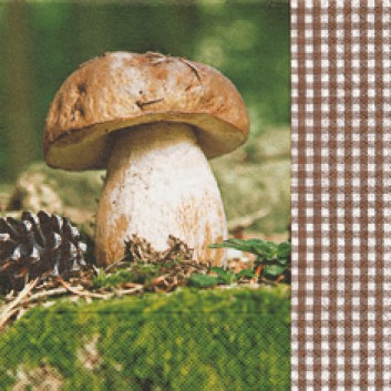  Paper + Design Servietten; 33 x 33 cm; Let' go mushrooming (Steinpilz); grün-braun; 21487; 3-lagig; 1/4-Falz (quadratisch); Zelltuch 