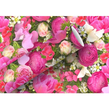  Braun & Company Geschenkpapier, lux; 70 cm x 2 m; Fotomotiv: Blumen; rosa-pink mit grün; 16439; Offsetpapier, glatt 