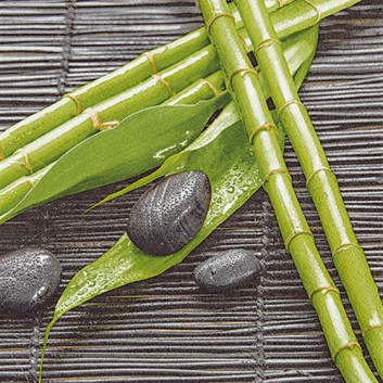  HomeFashion Servietten; 33 x 33 cm; Bamboo Wellness; grün-grau; 2114001; 3-lagig; 1/4 Falz (quadratisch); Zelltuch 