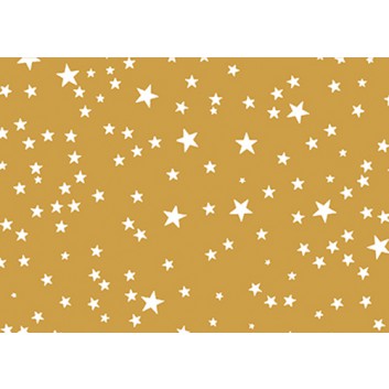  Braun & Company Weihnachts-Geschenkpapier, Deluxe; 70 cm x 2 m; Sterne; gold-weiß; 26617; Papier; Röllchen auf 34mm-Papphülse; ca. 70 g/qm 