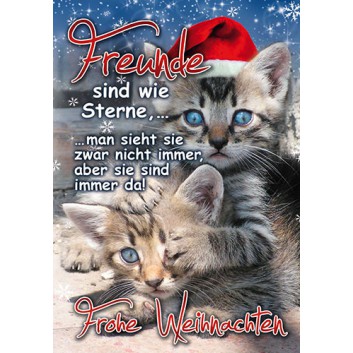  Sü Weihnachtskarte; 115 x 165 mm; Fotomotiv: Kätzchen mit Nikolausmütze; rot-grau-blau-weiß; 22_X002; Hochformat; weiß, naßklebend, Spitzklappe 